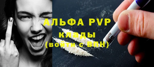 дмт Богданович