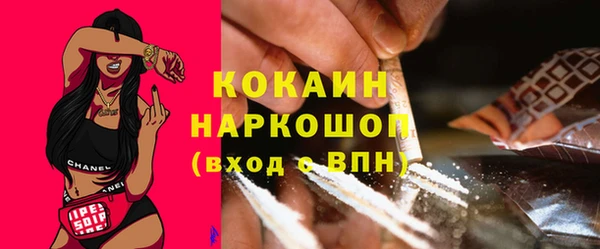 дмт Богданович