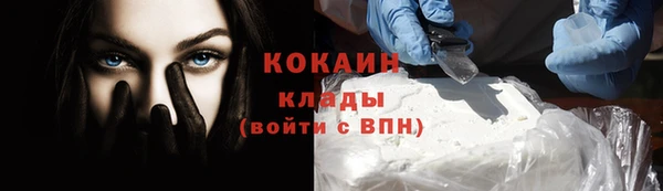 дмт Богданович