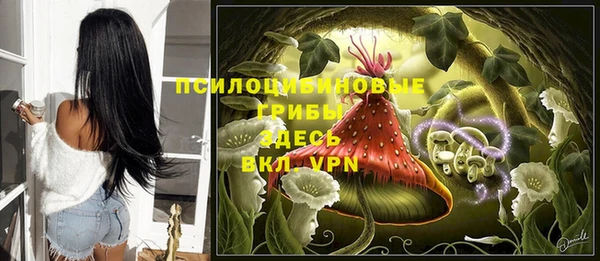 меф Бородино