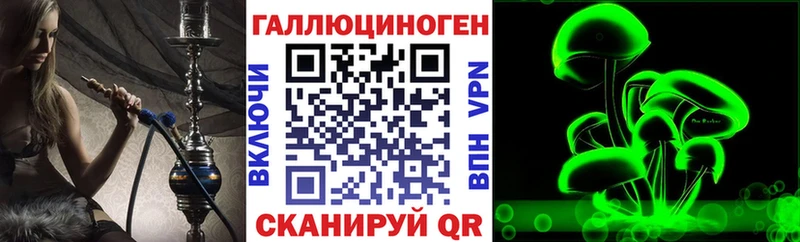 как найти наркотики  Белокуриха  Псилоцибиновые грибы GOLDEN TEACHER 